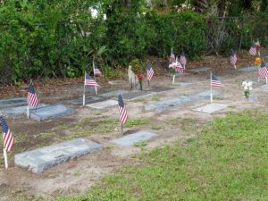 Veterans Day - Bonita Springs Cemetery