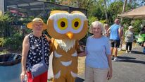 Burrowing Owls Festival